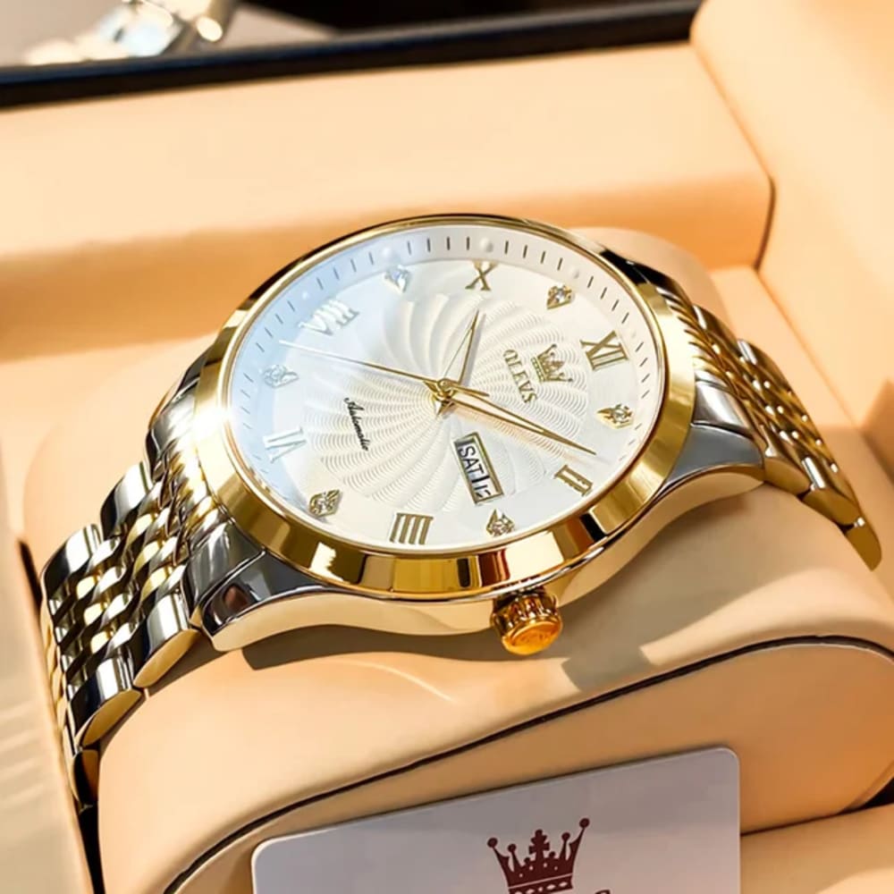 OLEVS Men Mechanical Automatic Watch 